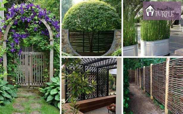 best-way-to-screen-garden-from-neighbours-46_11 Най-добрият начин да засадите градината от съседите
