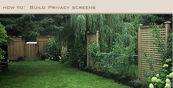 build-a-garden-privacy-screen-35_5 Създайте екран за поверителност на градината