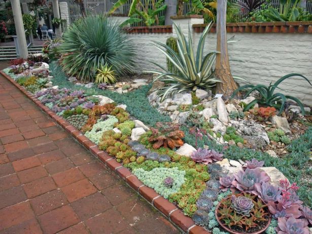 build-rock-garden-with-succulents-83_10 Изграждане на алпинеум със сукуленти