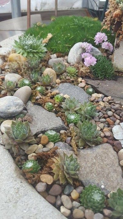 build-rock-garden-with-succulents-83_14 Изграждане на алпинеум със сукуленти