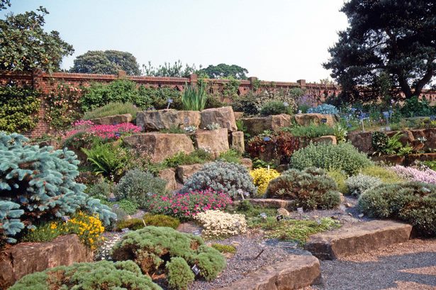 build-rock-garden-with-succulents-83_7 Изграждане на алпинеум със сукуленти