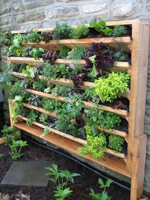 build-your-own-vertical-garden-49 Създайте своя собствена вертикална градина