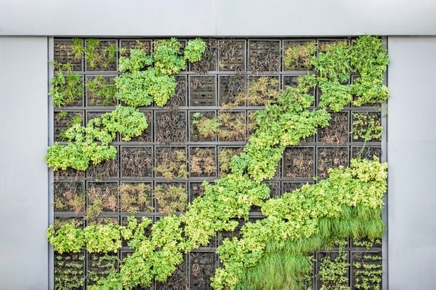 build-your-own-vertical-garden-49_7 Създайте своя собствена вертикална градина