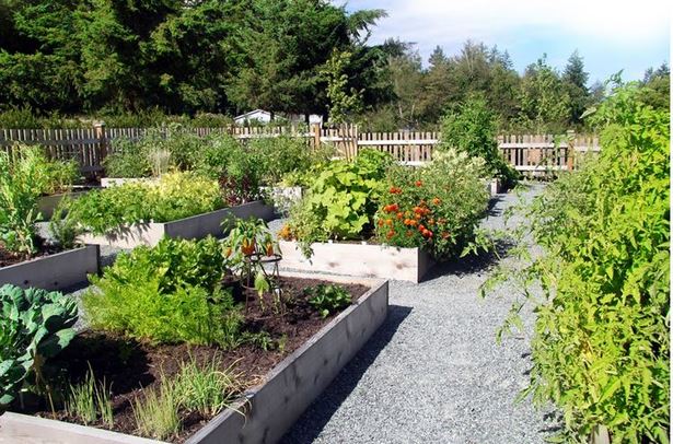 community-garden-ideas-71_9 Идеи за градинска общност