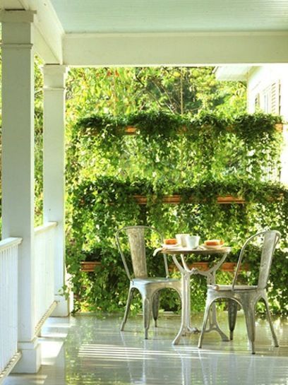 create-backyard-privacy-with-plants-45_16 Създайте поверителност на задния двор с растения