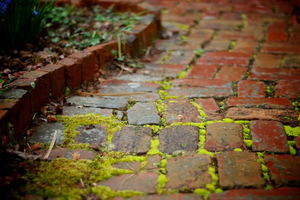 crushed-brick-landscaping-ideas-49_5 Натрошени тухли идеи за озеленяване