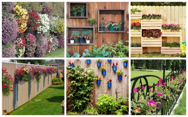 decorating-fences-with-plants-62_11 Декориране на огради с растения