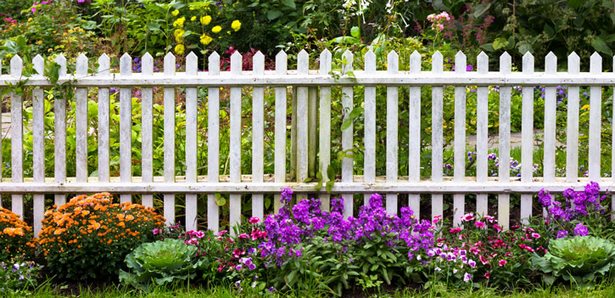 decorating-fences-with-plants-62_5 Декориране на огради с растения