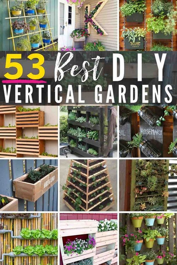 easy-vertical-garden-39_8 Лесна вертикална градина