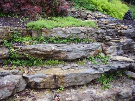 flat-landscaping-rocks-25_18 Плоски скали за озеленяване