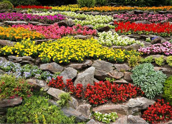 flower-and-rock-garden-ideas-11_10 Идеи за цветя и алпинеуми