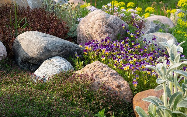 flower-and-rock-garden-ideas-11_5 Идеи за цветя и алпинеуми