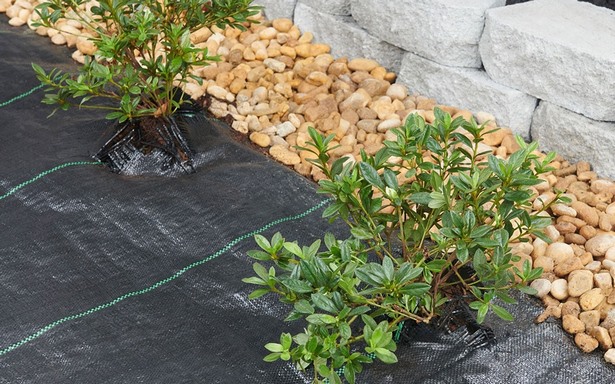front-yard-landscaping-ideas-using-rocks-81_14 Идеи за озеленяване на предния двор, използващи скали