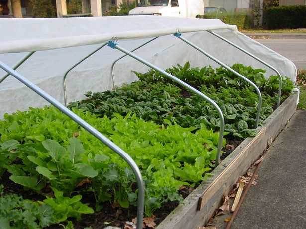 garden-hoops-for-raised-beds-14_12 Градински обръчи за повдигнати легла