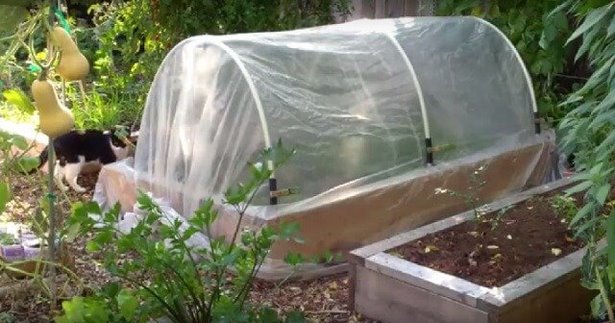 garden-hoops-for-raised-beds-14_5 Градински обръчи за повдигнати легла