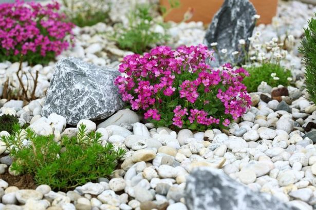 garden-ideas-using-rocks-31 Градински идеи, използващи камъни
