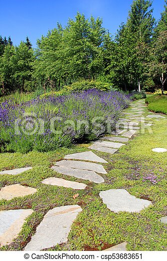 garden-path-plants-57_15 Градински растения