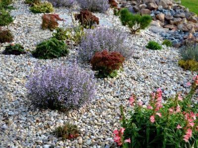 garden-stones-for-flower-beds-93_11 Градински камъни за цветни лехи
