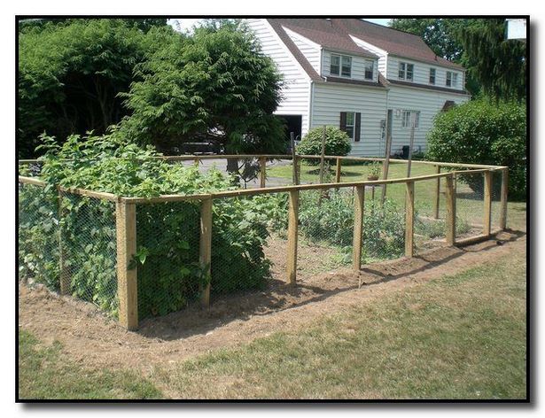 home-garden-fencing-ideas-36_5 Начало Градина фехтовка идеи