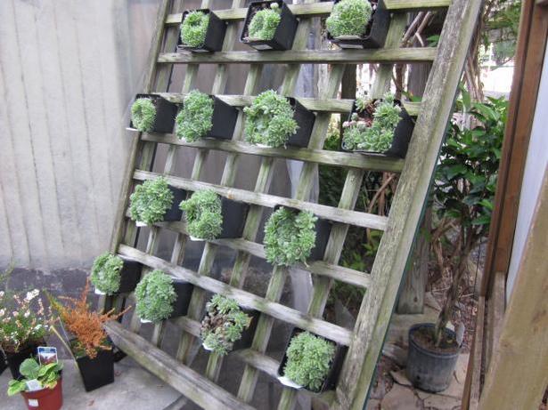 homemade-vertical-garden-27 Домашна вертикална градина