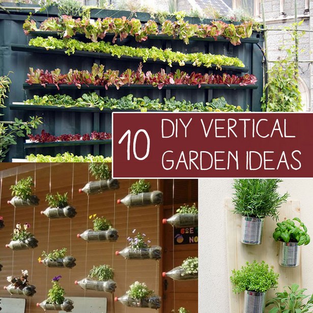 homemade-vertical-garden-27_14 Домашна вертикална градина