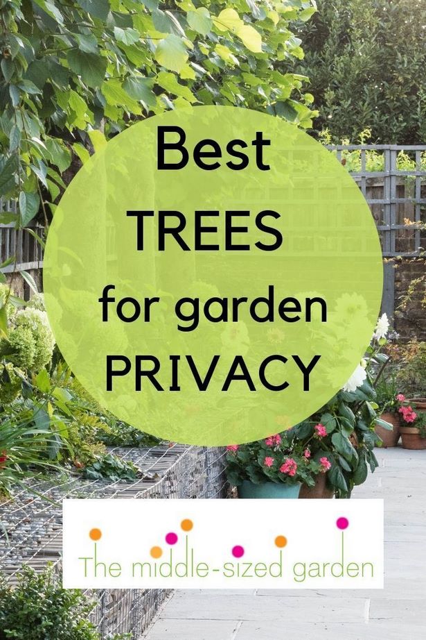 ideas-for-privacy-in-back-garden-42_14 Идеи за уединение в задния двор