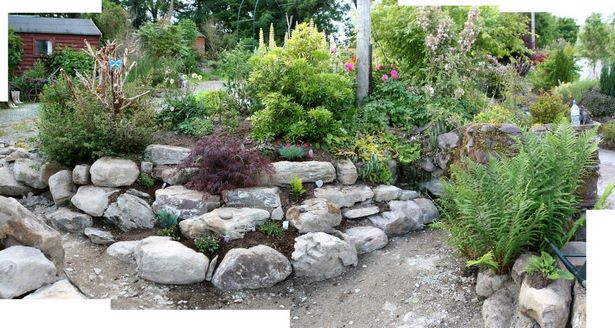 ideas-for-small-garden-rockery-97_11 Идеи за малка градинска алпинеум