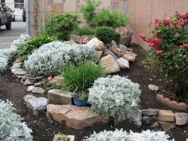 ideas-for-small-garden-rockery-97_6 Идеи за малка градинска алпинеум