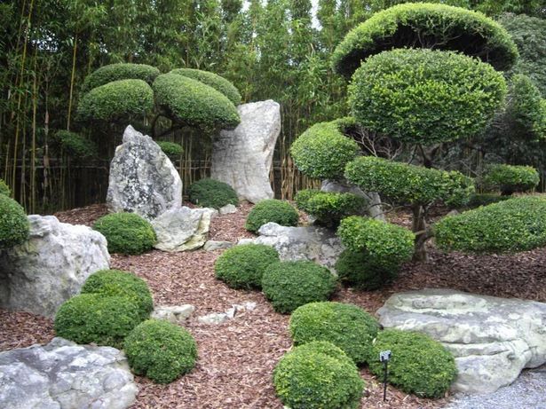Японски градински храсти