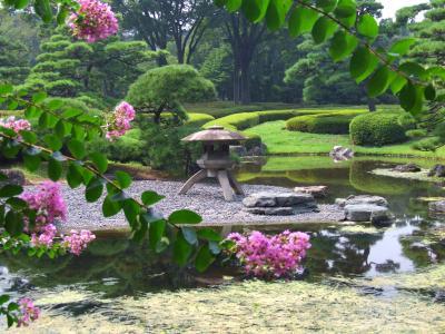 japanese-outdoor-plants-60 Японски външни растения