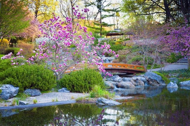 japanese-water-garden-17_14 Японска водна градина