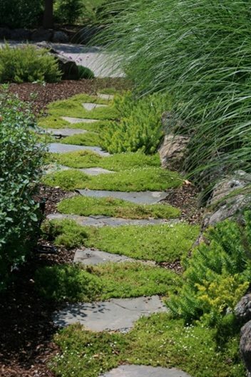 landscaping-a-pathway-58_14 Озеленяване на пътека