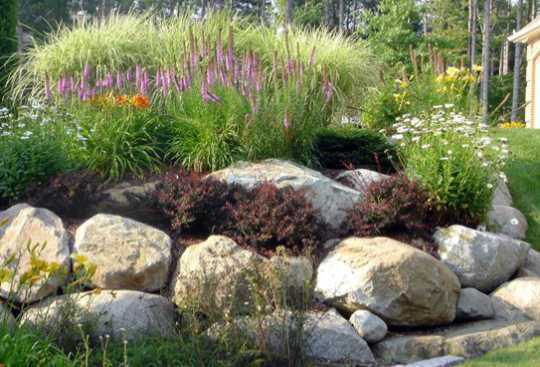 landscaping-ideas-around-a-large-rock-66_3 Озеленяване идеи около голяма скала