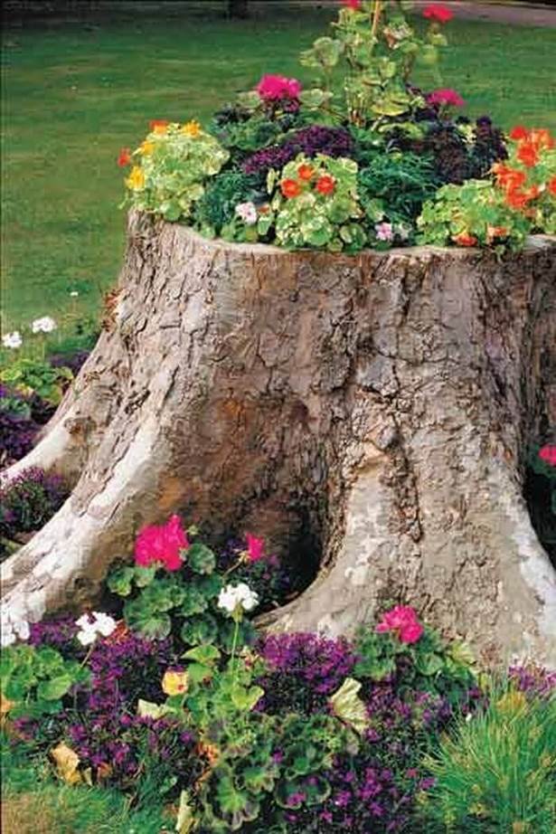 landscaping-ideas-for-front-yard-trees-31_10 Озеленяване идеи за предния двор дървета