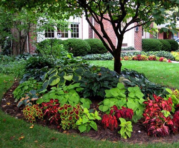 landscaping-ideas-for-front-yard-trees-31_7 Озеленяване идеи за предния двор дървета