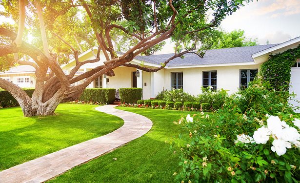 landscaping-ideas-for-front-yard-trees-31_8 Озеленяване идеи за предния двор дървета