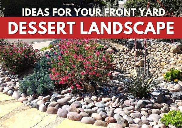 landscaping-ideas-for-rocky-yards-28_14 Озеленяване идеи за скалисти дворове