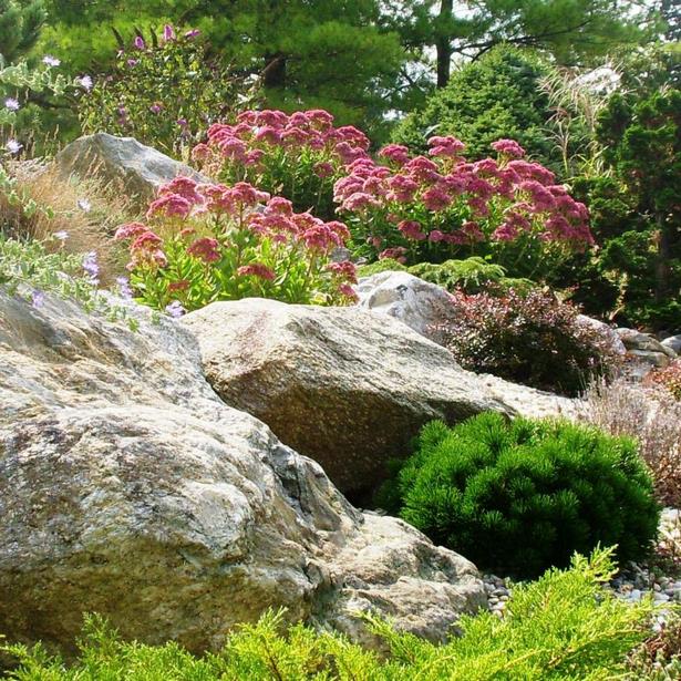 landscaping-rock-garden-plants-45 Озеленяване алпинеуми