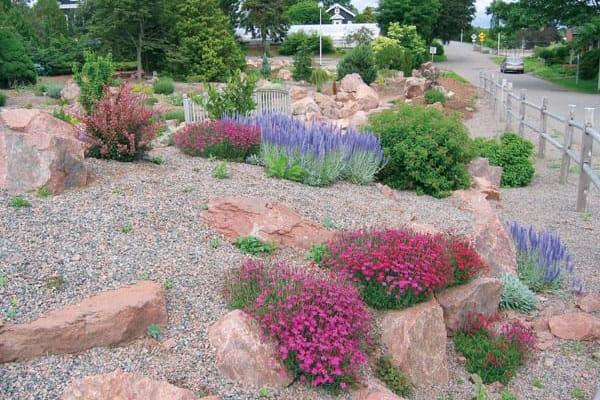 landscaping-rock-garden-plants-45_14 Озеленяване алпинеуми