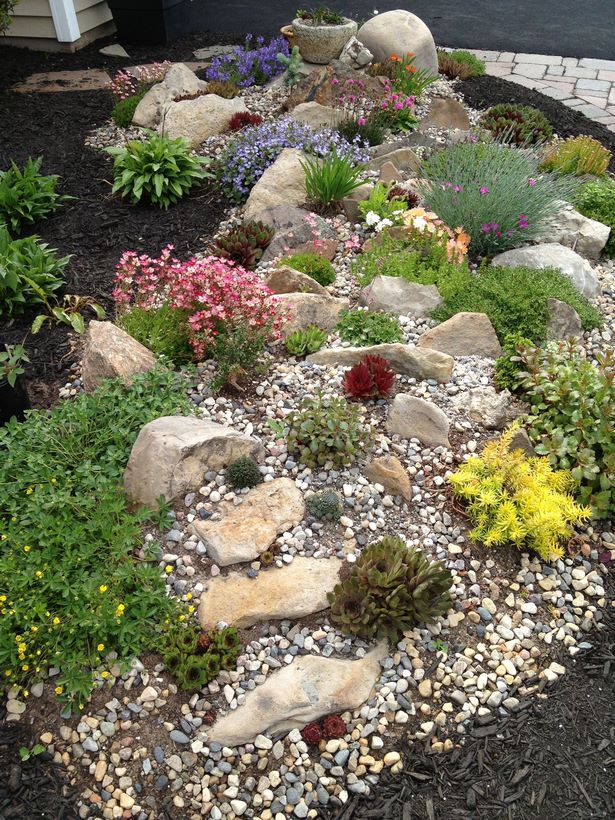landscaping-rock-garden-plants-45_15 Озеленяване алпинеуми