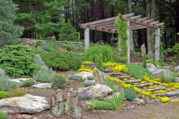 landscaping-rock-garden-plants-45_17 Озеленяване алпинеуми