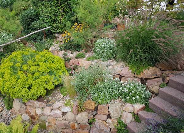 landscaping-rock-garden-plants-45_6 Озеленяване алпинеуми