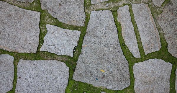 large-flat-landscaping-stones-68_13 Големи плоски камъни за озеленяване