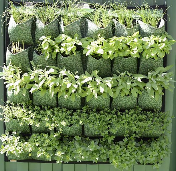 make-your-own-vertical-garden-27_11 Създайте своя вертикална градина