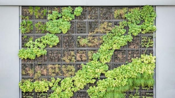 make-your-own-vertical-garden-27_13 Създайте своя вертикална градина