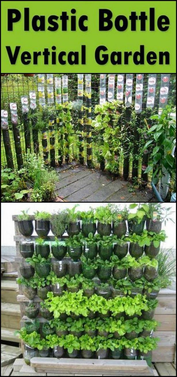 make-your-own-vertical-garden-27_16 Създайте своя вертикална градина