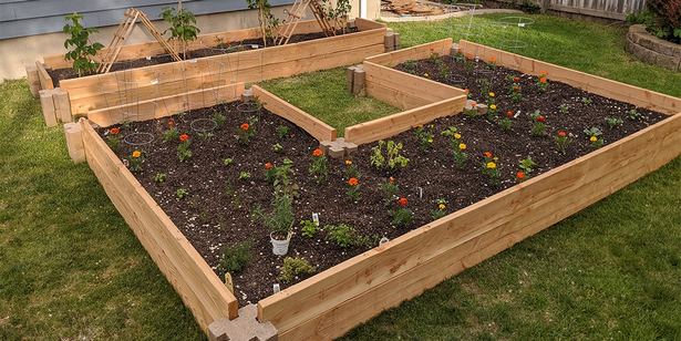 making-a-raised-vegetable-garden-19_15 Създаване на повдигната зеленчукова градина