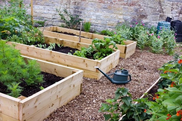 making-a-raised-vegetable-garden-19_17 Създаване на повдигната зеленчукова градина