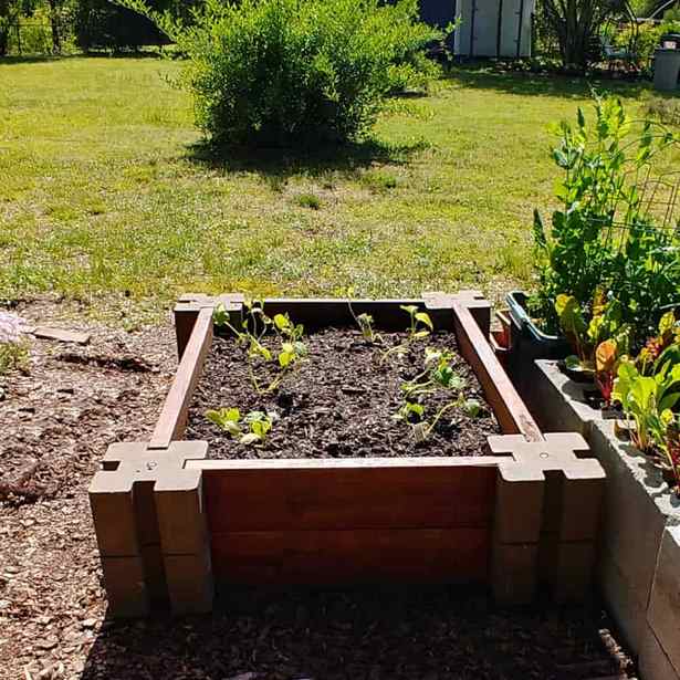 making-a-raised-vegetable-garden-19_8 Създаване на повдигната зеленчукова градина