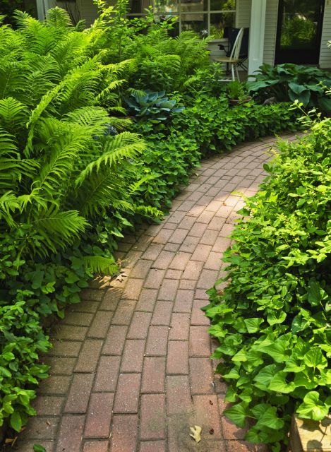 narrow-walkway-landscaping-80_3 Тясна пешеходна алея озеленяване